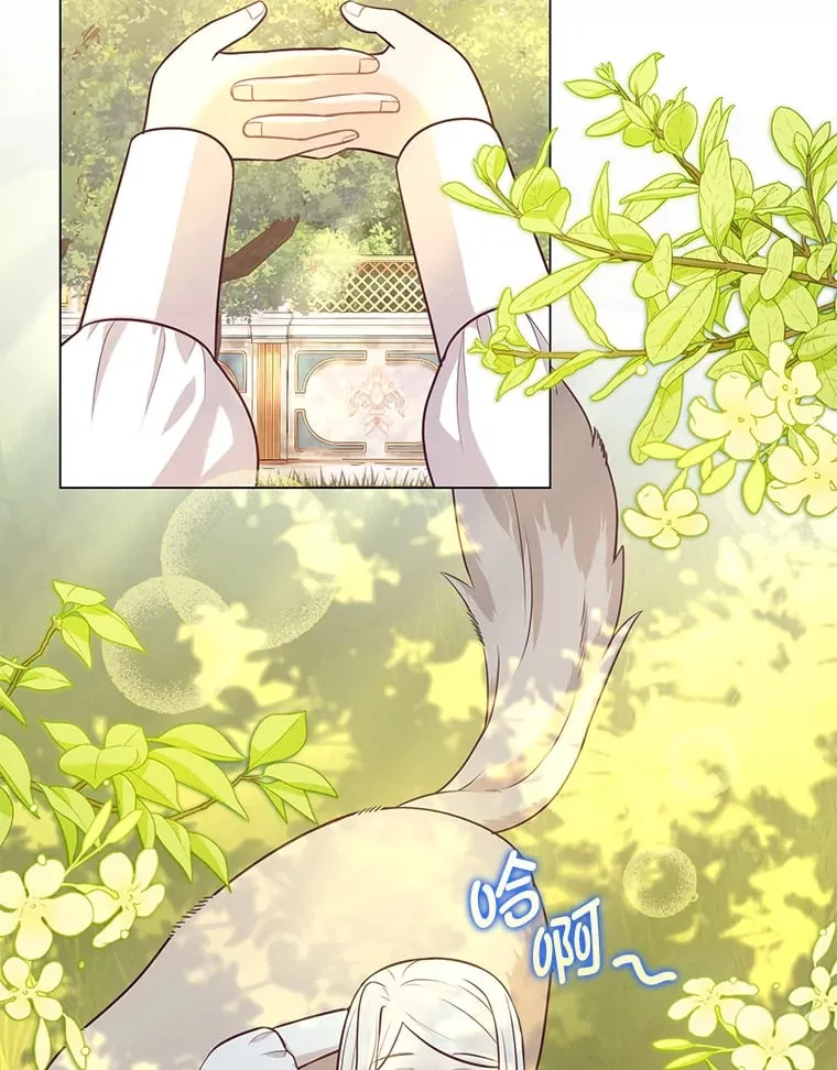 26.社交界之花 第2页