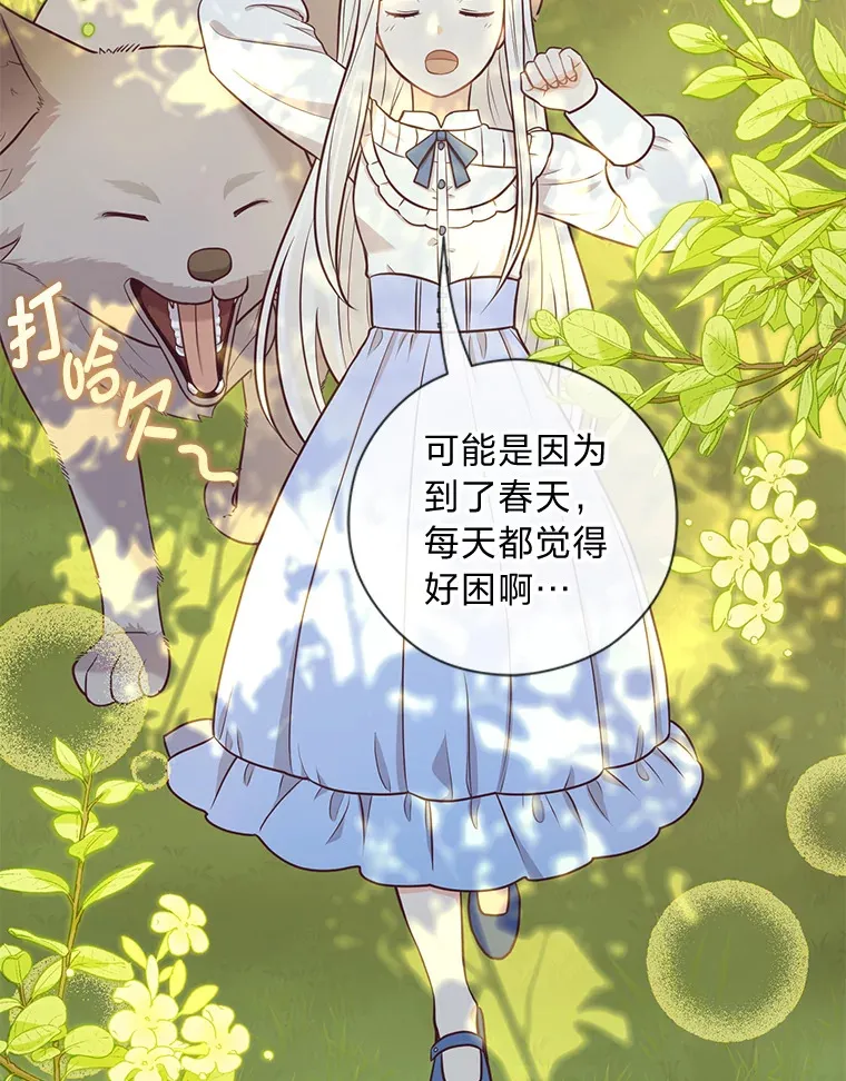 26.社交界之花 第3页