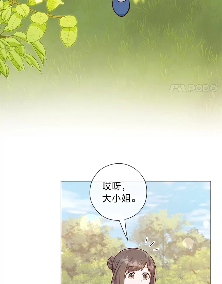26.社交界之花 第4页