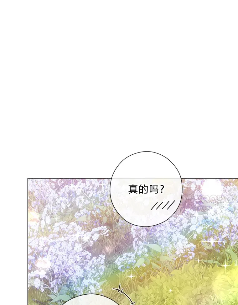 26.社交界之花 第7页