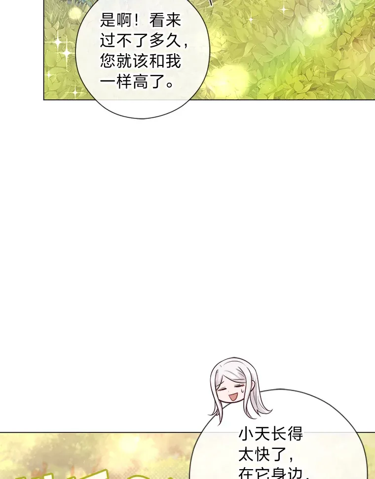 26.社交界之花 第8页