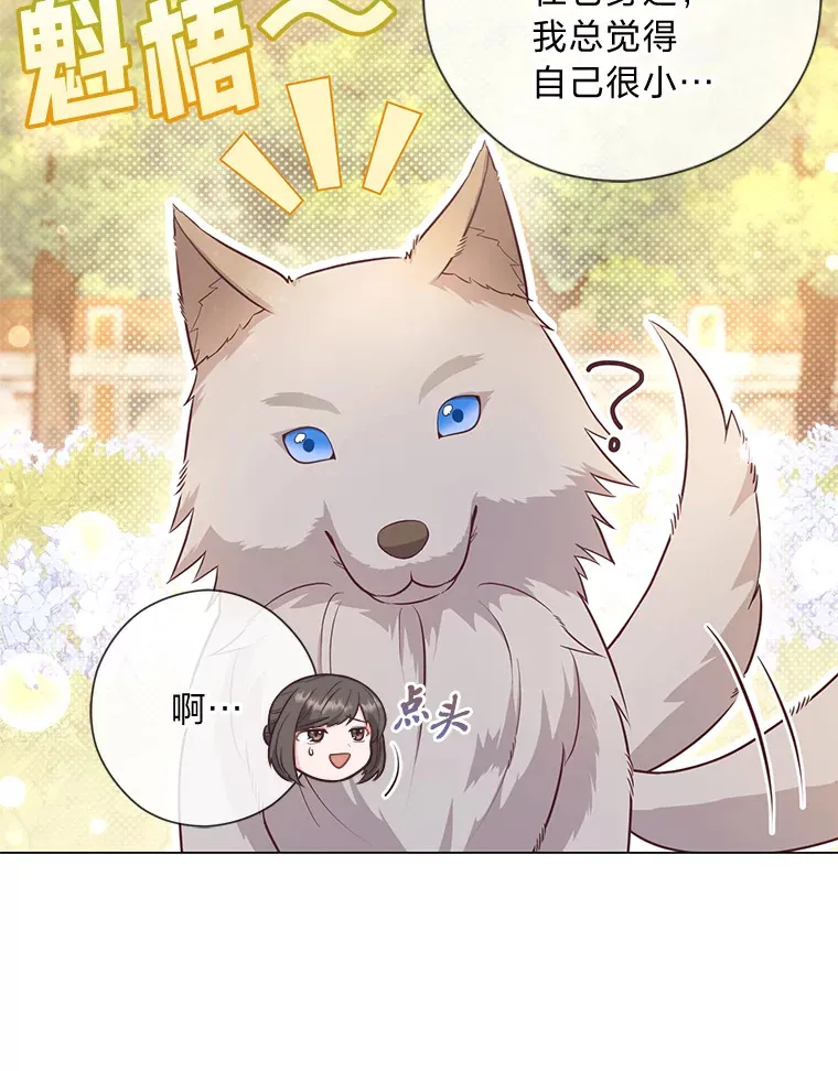 26.社交界之花 第9页