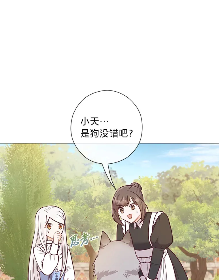 26.社交界之花 第10页