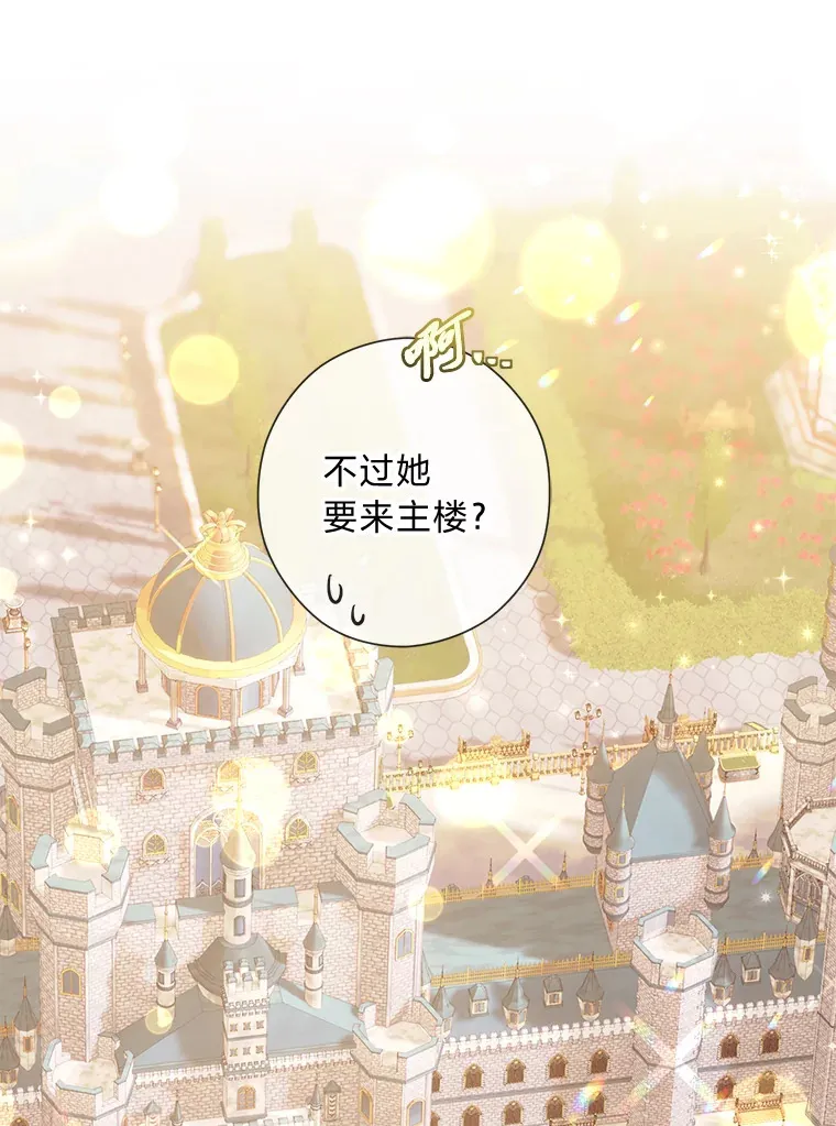 26.社交界之花 第25页