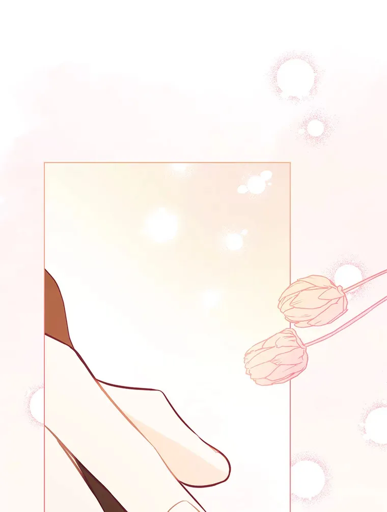 26.社交界之花 第117页