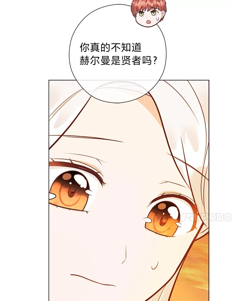 33.姗姗来迟 第7页