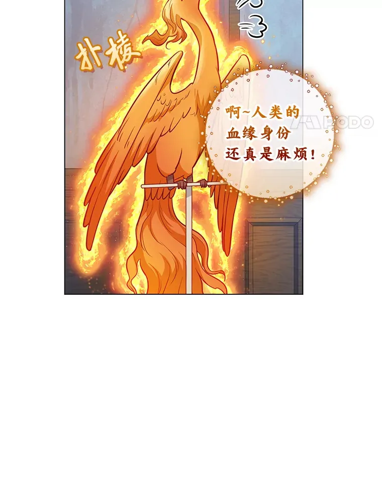 33.姗姗来迟 第56页
