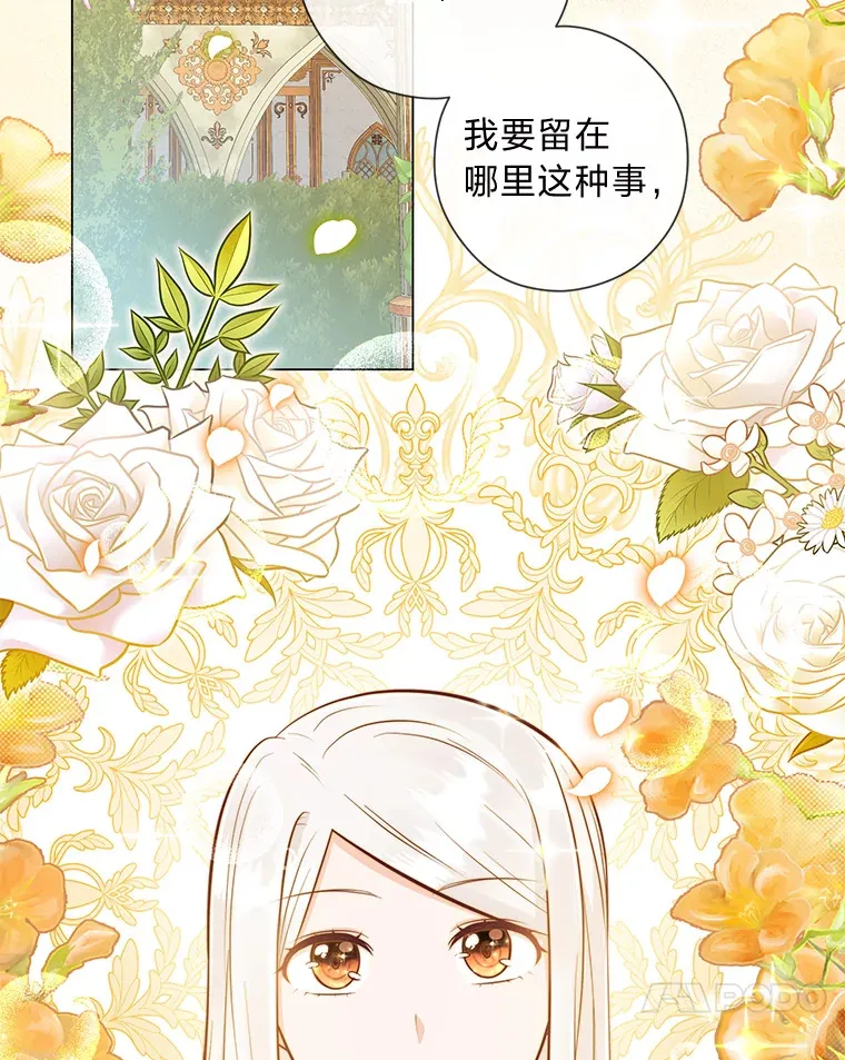 44.千金风范 第46页