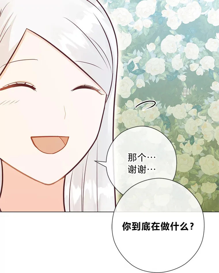 45.第二面 第79页