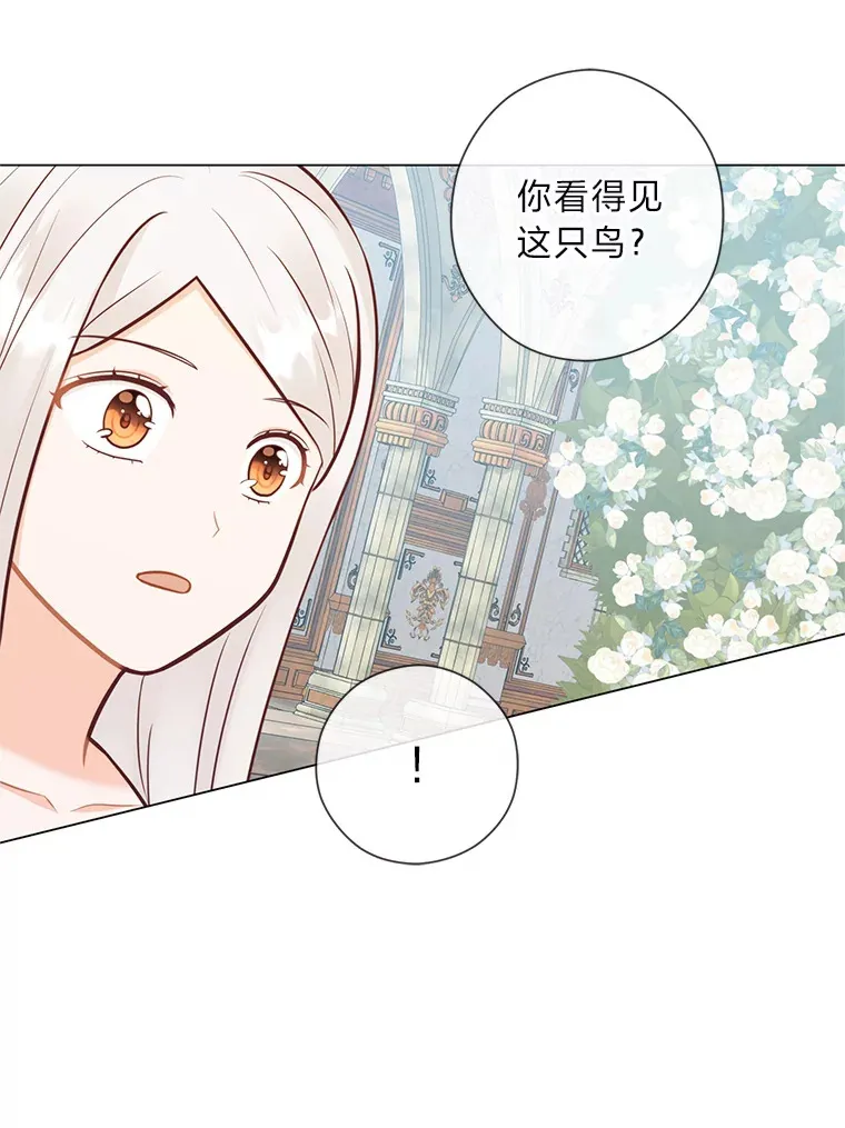 45.第二面 第111页