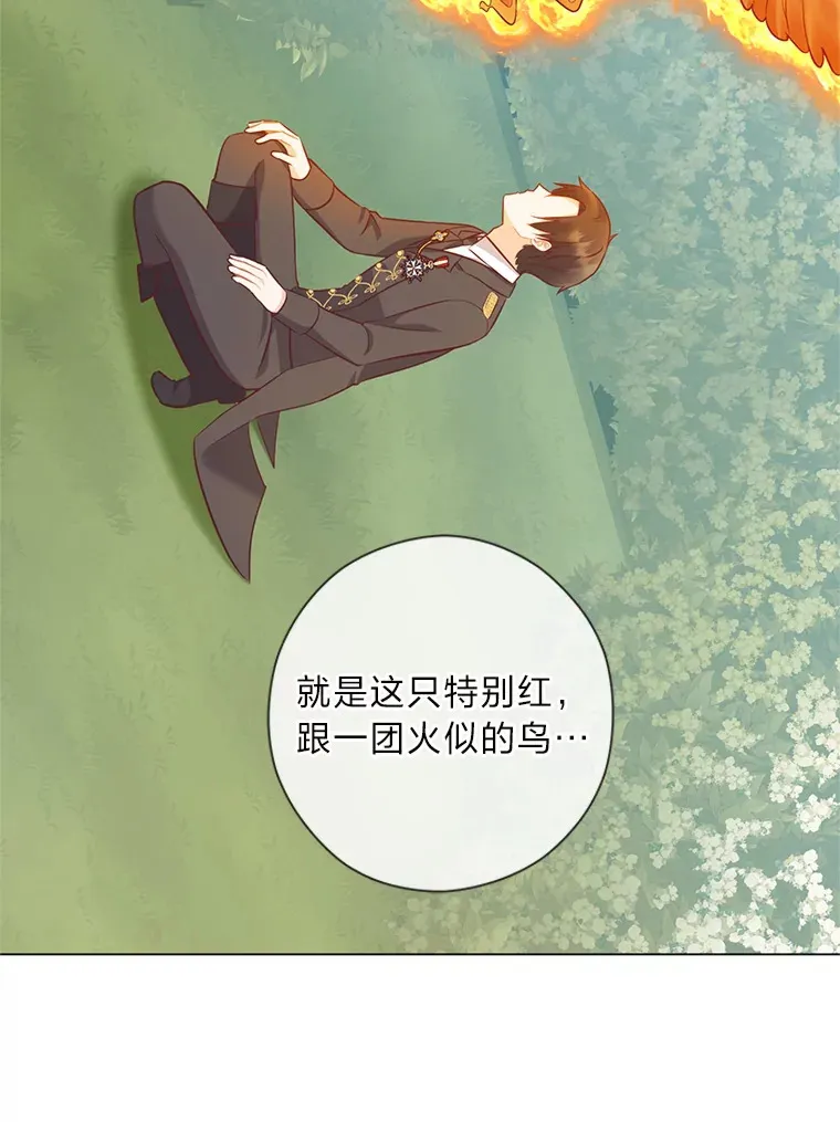 45.第二面 第113页