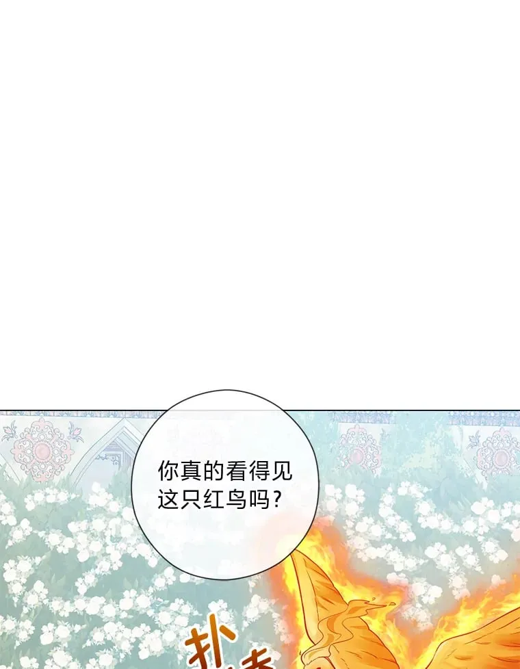 46.精灵师 第1页