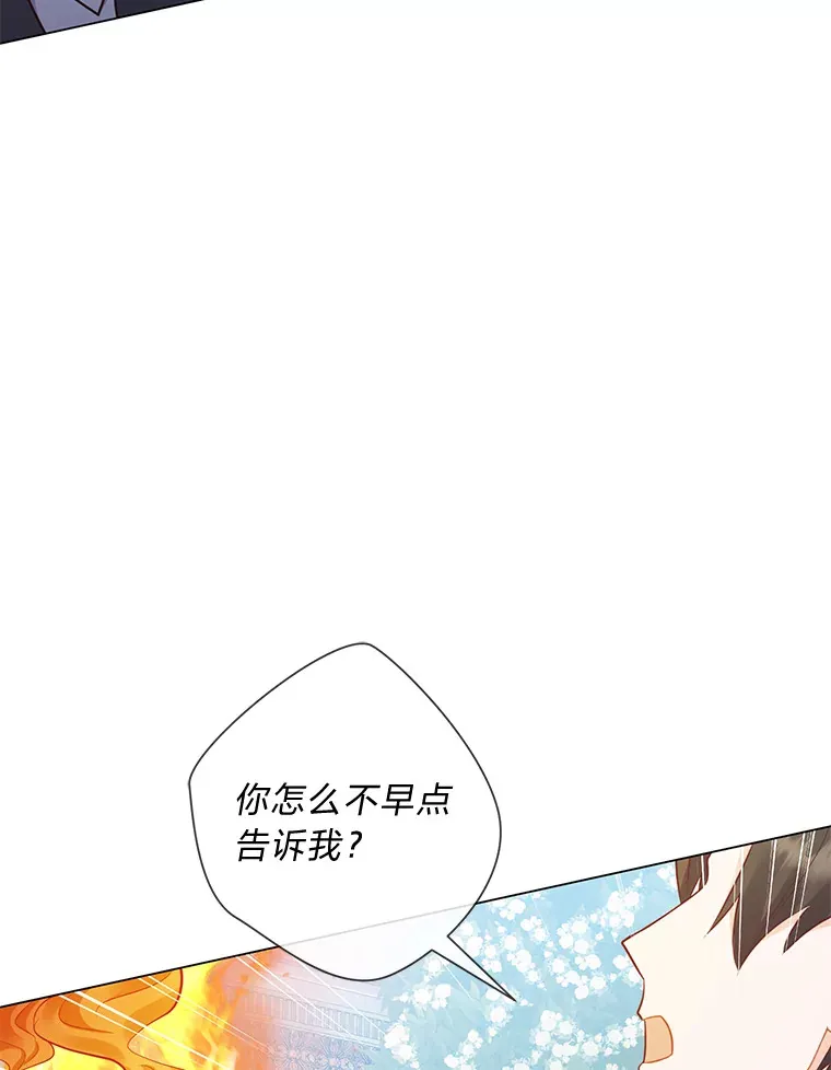 46.精灵师 第5页