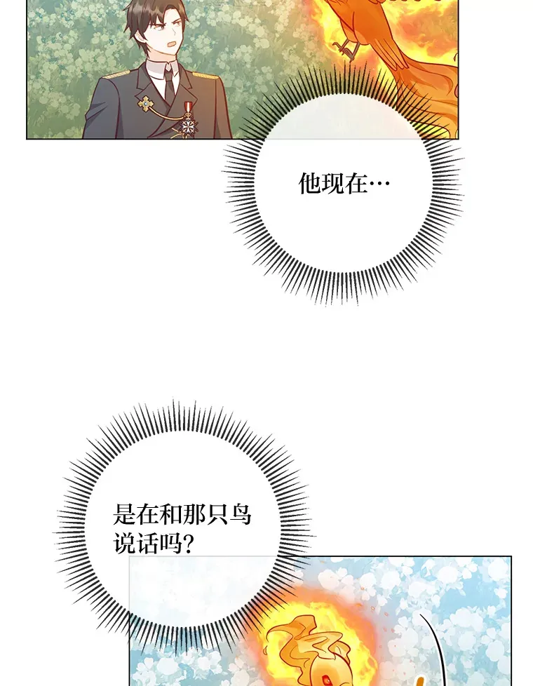 46.精灵师 第8页