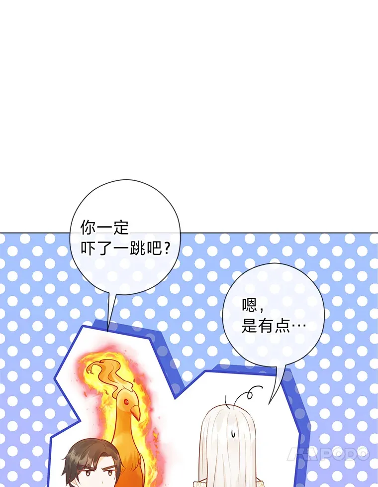 46.精灵师 第10页
