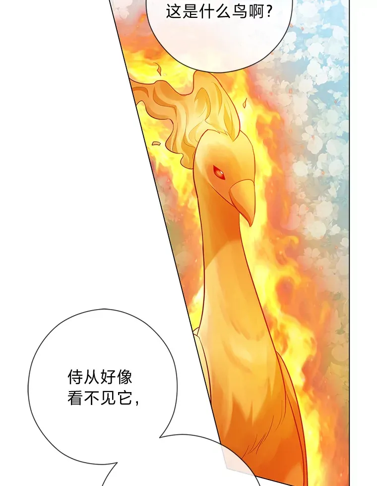 46.精灵师 第12页