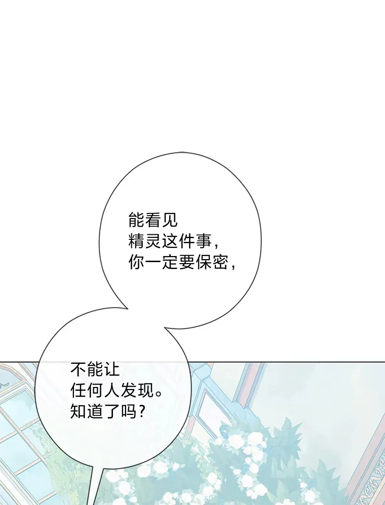 46.精灵师 第25页
