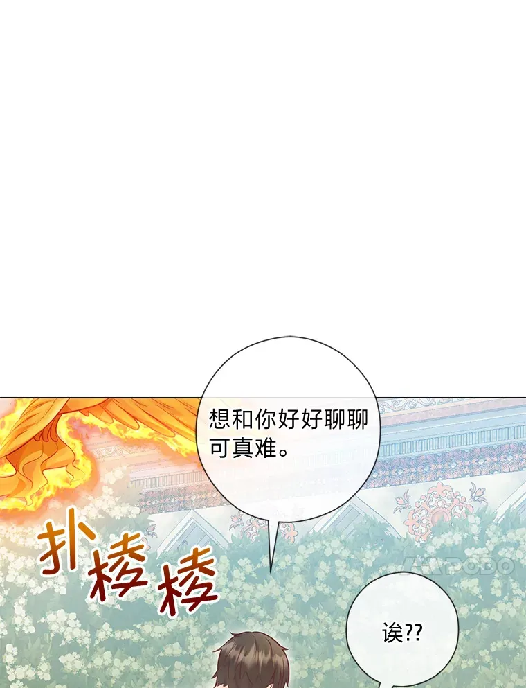 46.精灵师 第33页
