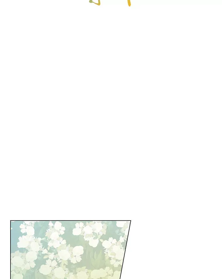 46.精灵师 第46页