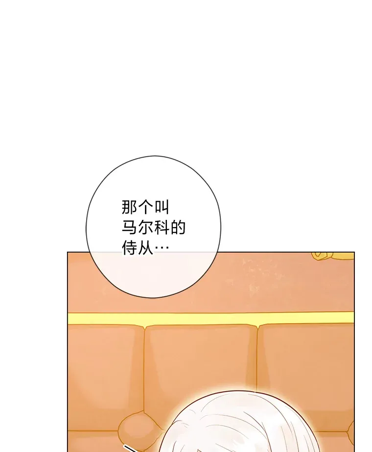 46.精灵师 第67页