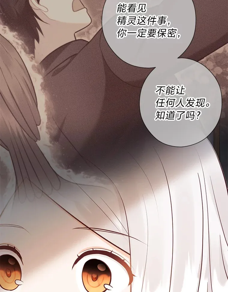 46.精灵师 第137页