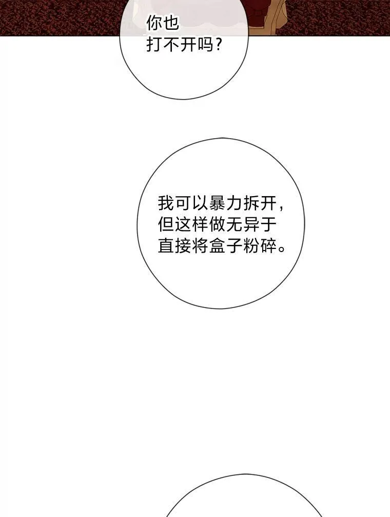 57.秘密盒子 第69页