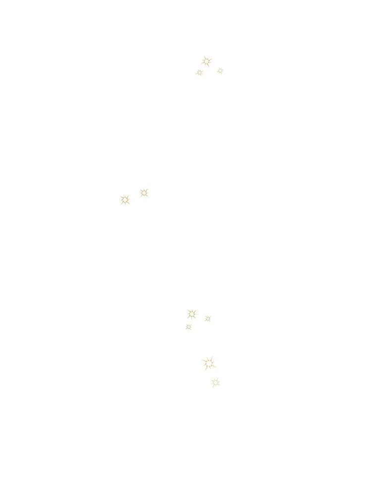 58.生日礼物 第81页