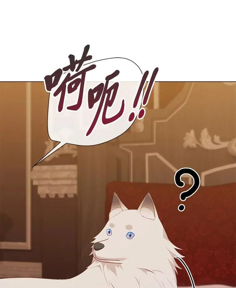 58.生日礼物 第152页