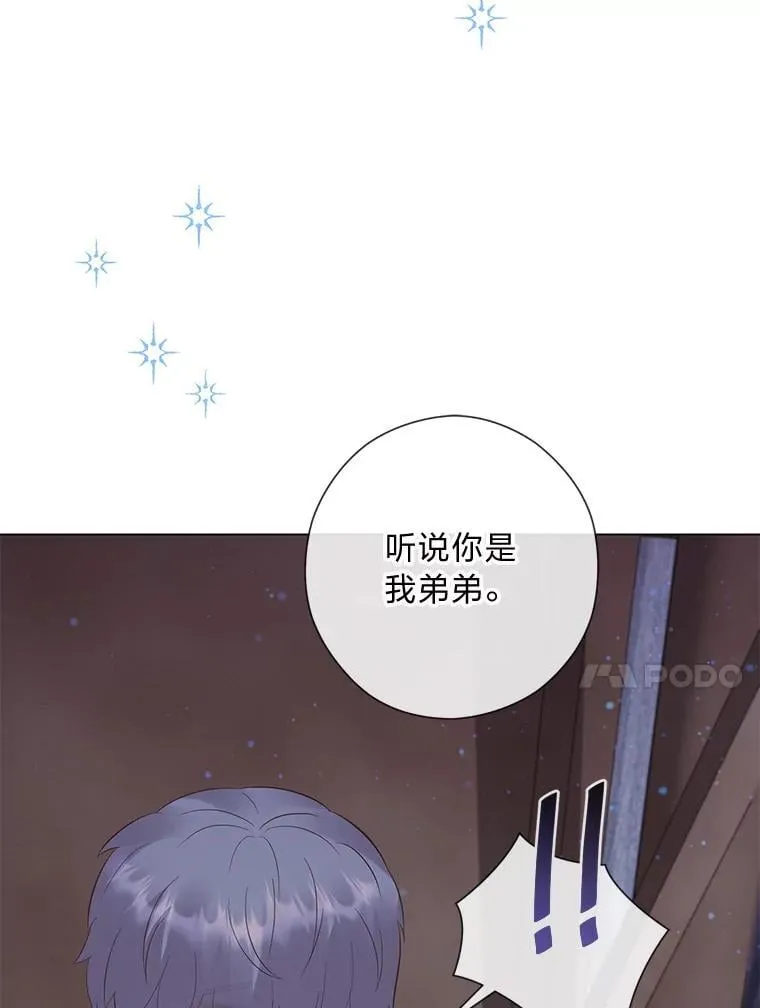63.藏起来的弟弟 第116页