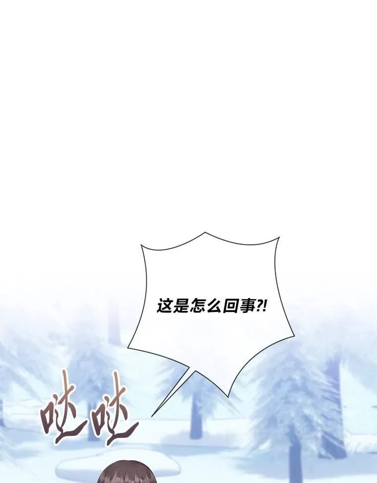 66.精灵之力 第1页