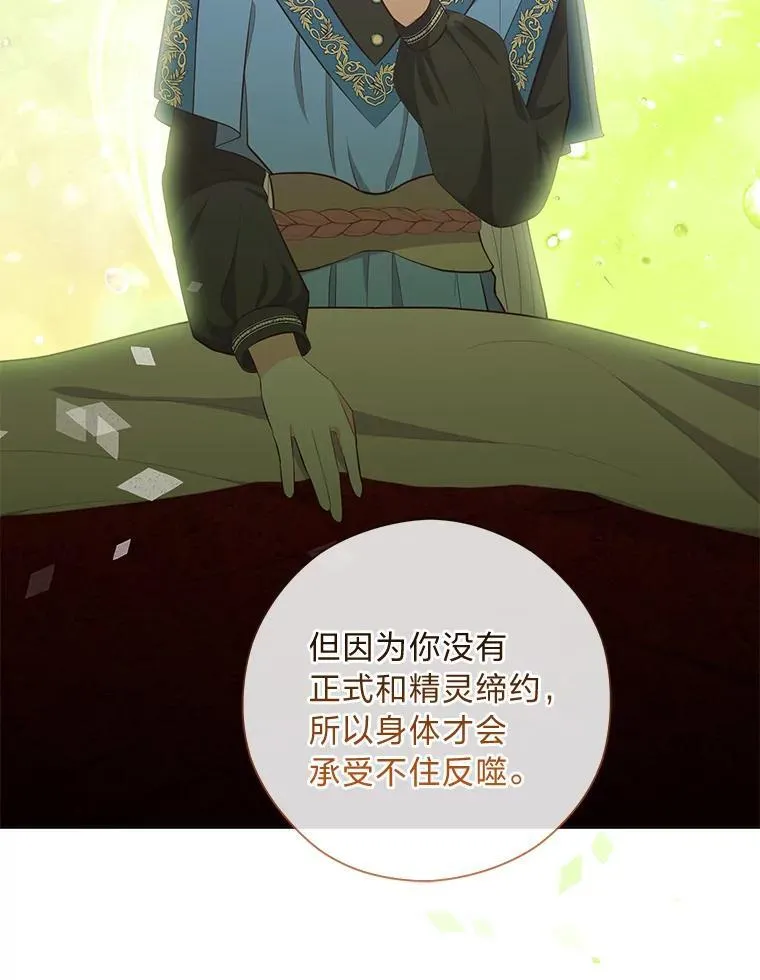 66.精灵之力 第29页