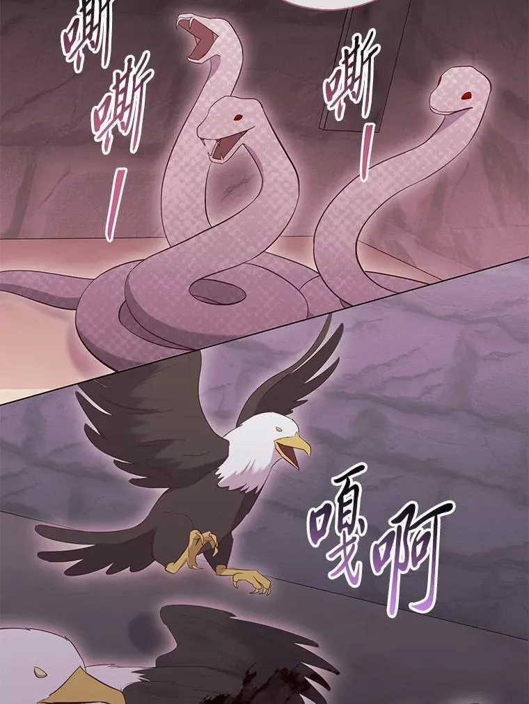66.精灵之力 第46页