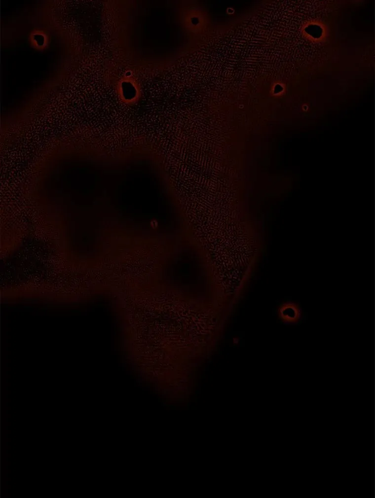 1.开局必死 第11页