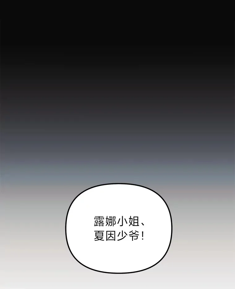 8.在茶会大放异彩 第10页