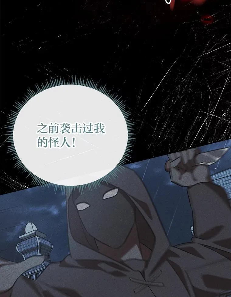 30.来自花瓣的信号 第29页