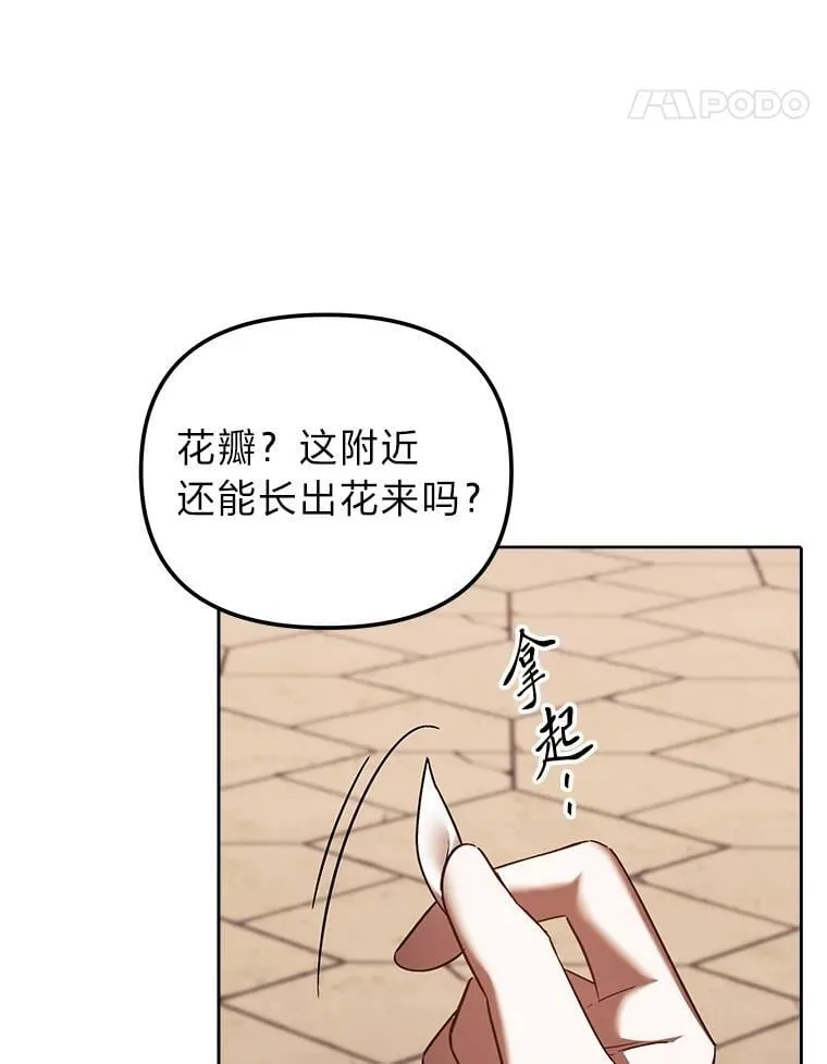 30.来自花瓣的信号 第85页