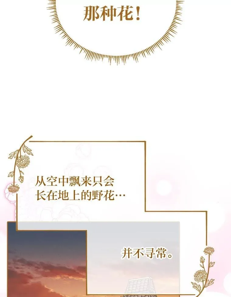 30.来自花瓣的信号 第94页