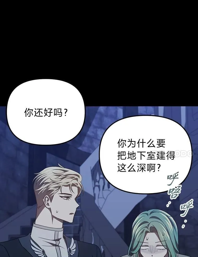 39.地下室的秘密 第121页