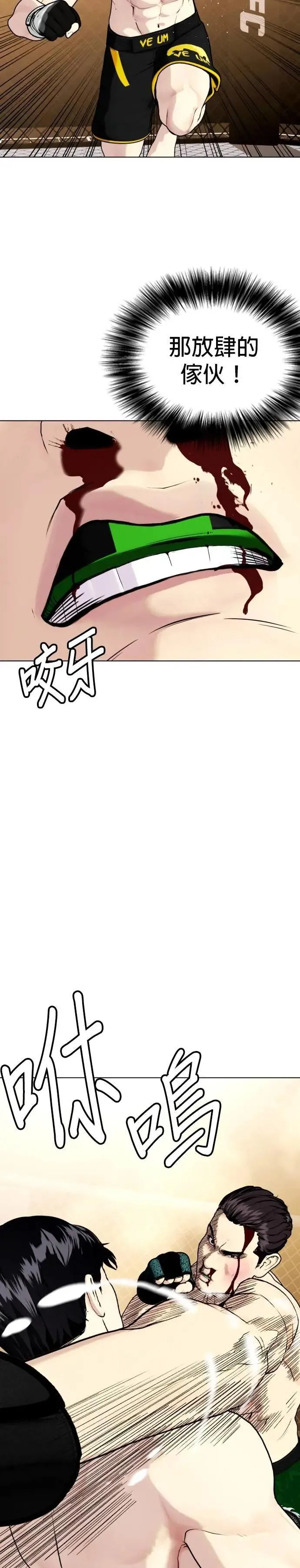 第88话 通臂拳 第13页