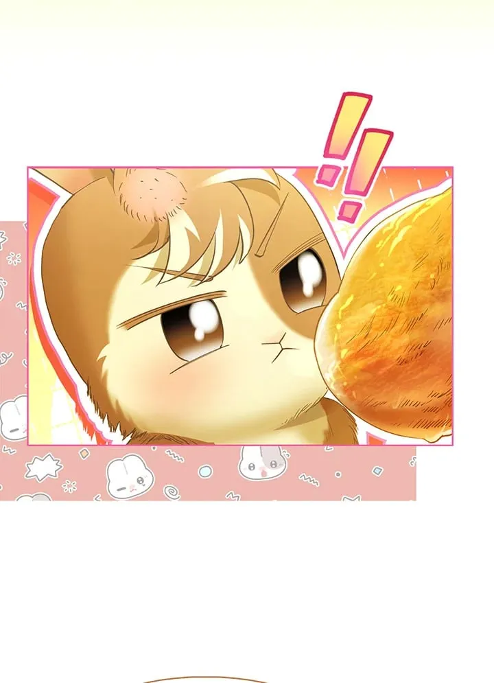 第11话 第4页