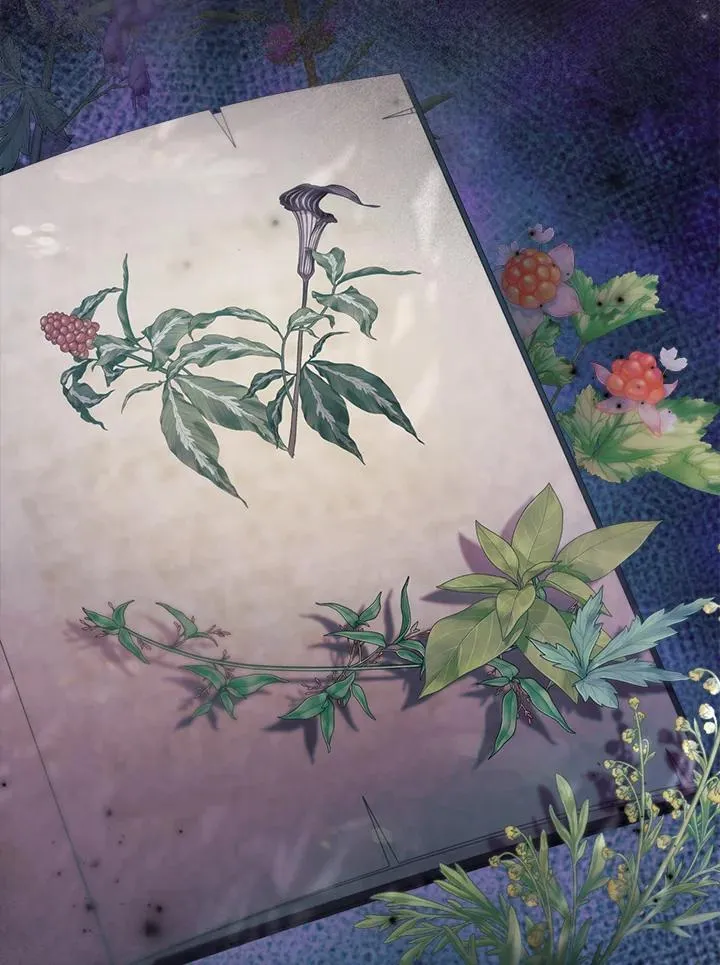 第34话 第71页