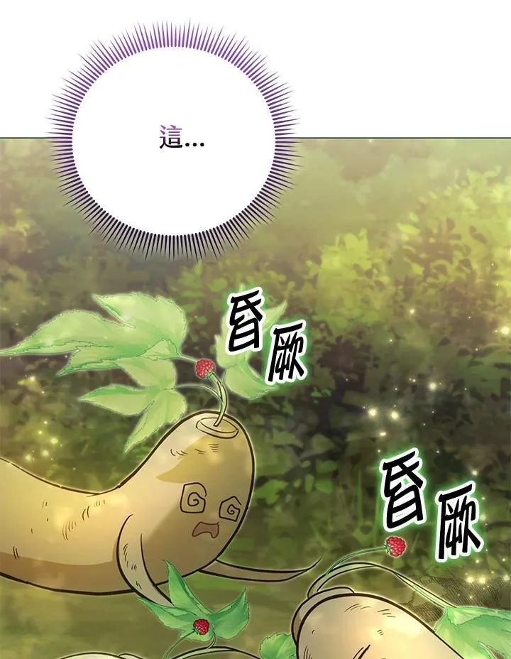 第41话 第97页