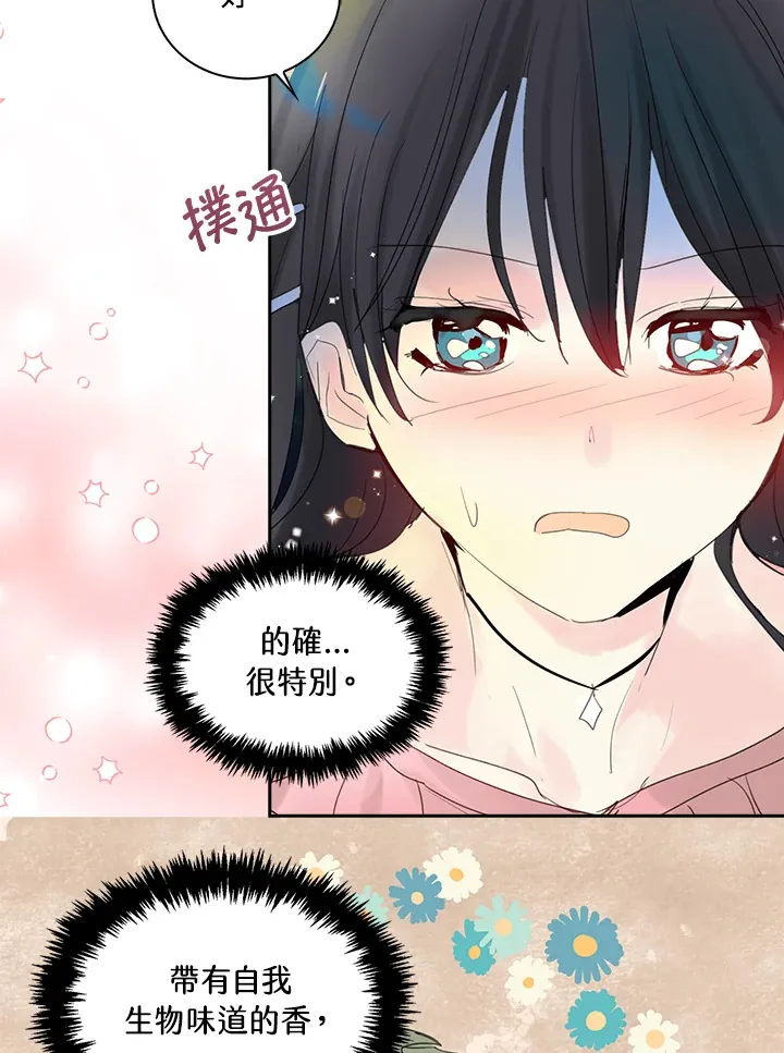 第71话 第11页