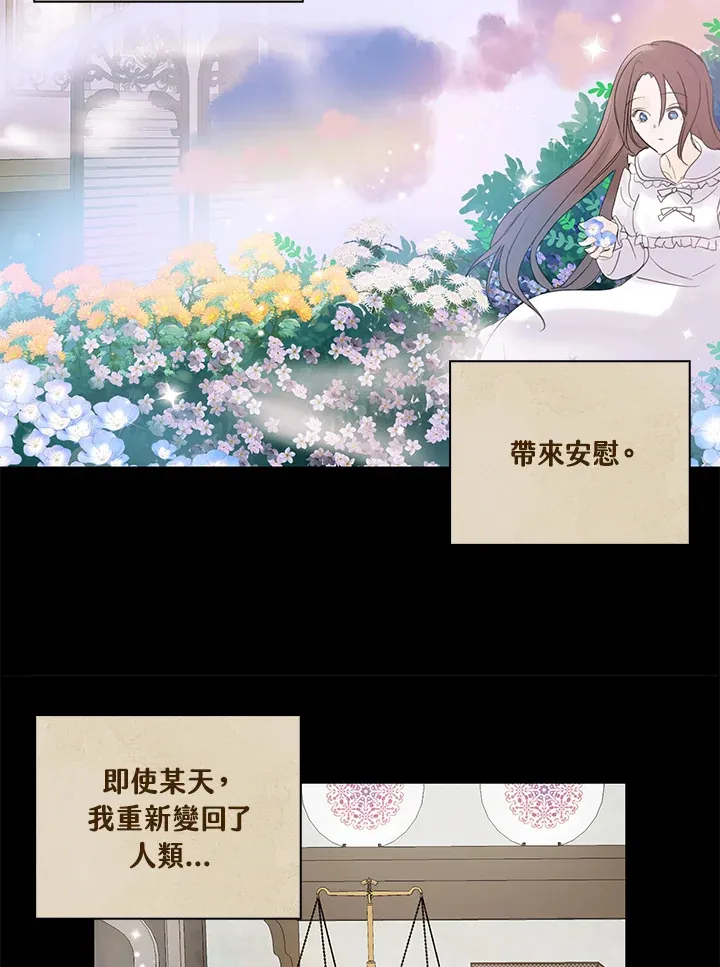 第71话 第24页
