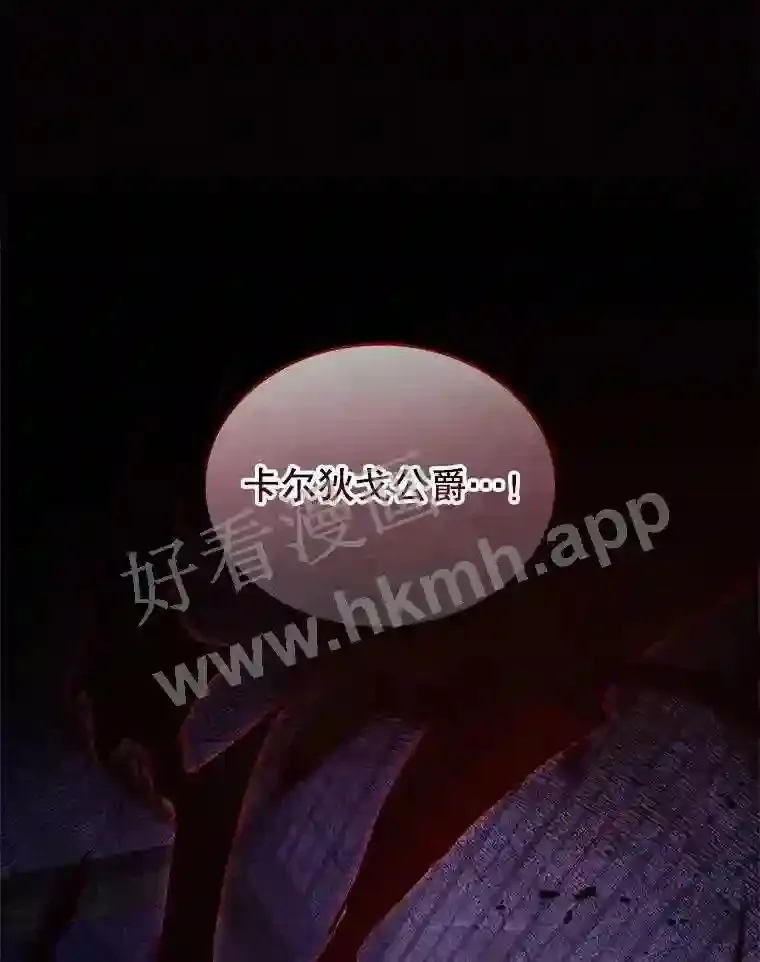 11.艾昂男爵 第97页