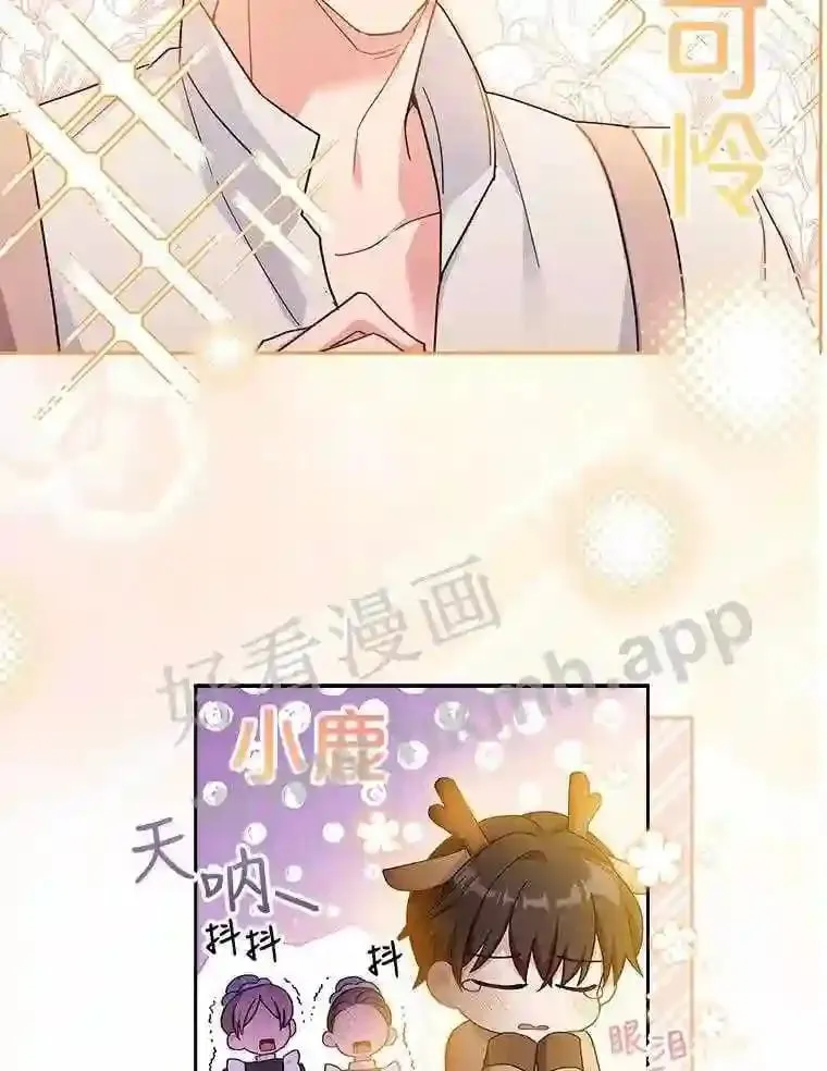 13.作战计划 第42页