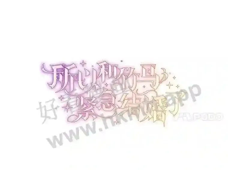 16.完美宴会 第27页