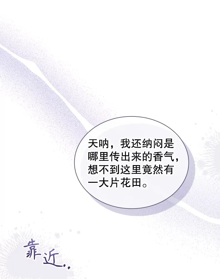 39.贵族会议 第28页