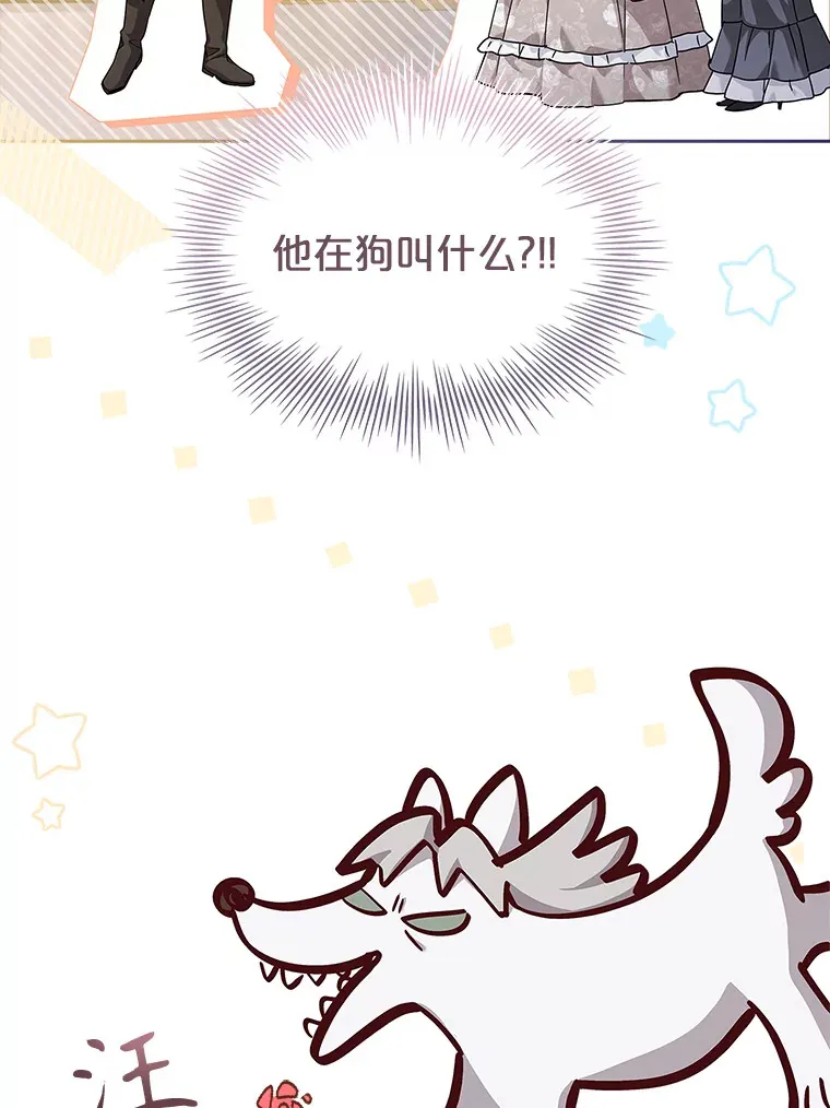 39.贵族会议 第52页