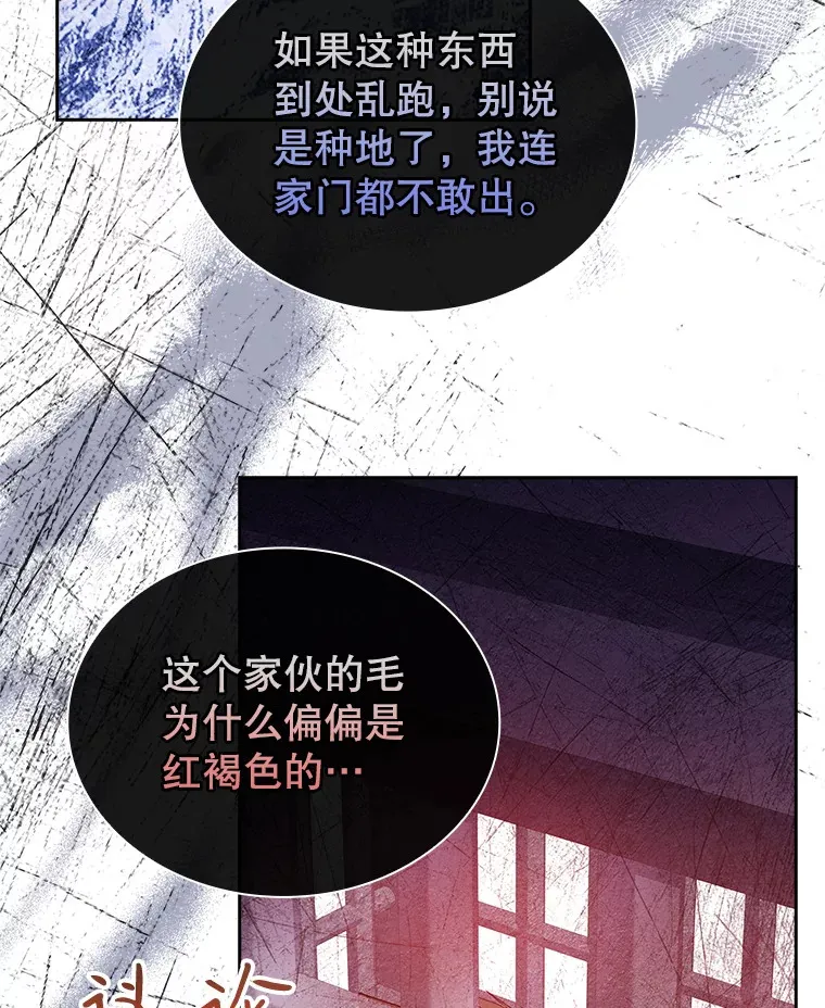 40.暴动的魔兽 第66页